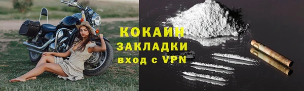 дживик Осинники