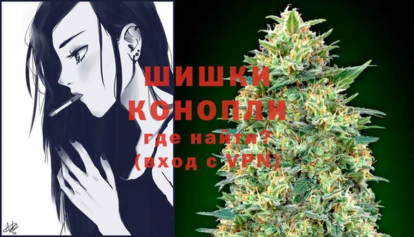 дживик Осинники