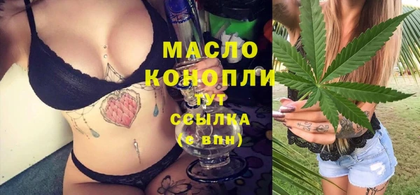 дживик Осинники