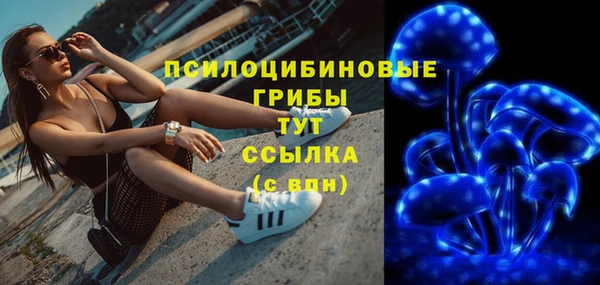 дживик Осинники