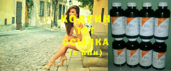 дживик Осинники