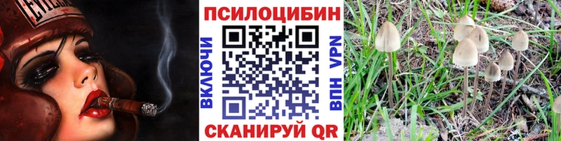 shop Telegram  Волоколамск  Галлюциногенные грибы прущие грибы  купить  