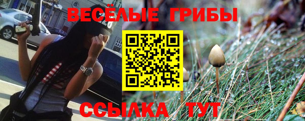 Галлюциногенные грибы прущие грибы Волоколамск