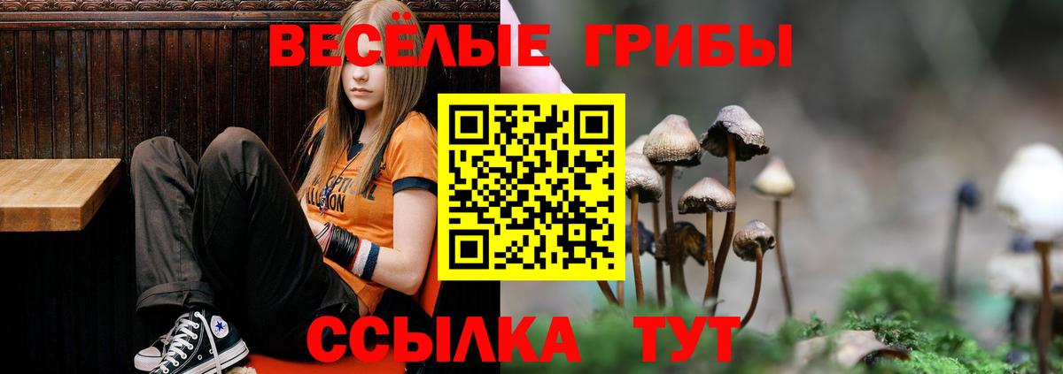 Волоколамск  Псилоцибиновые грибы GOLDEN TEACHER  Вход с VPN 
